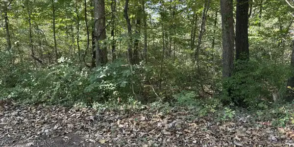 Lot 625 Stonegate Drive