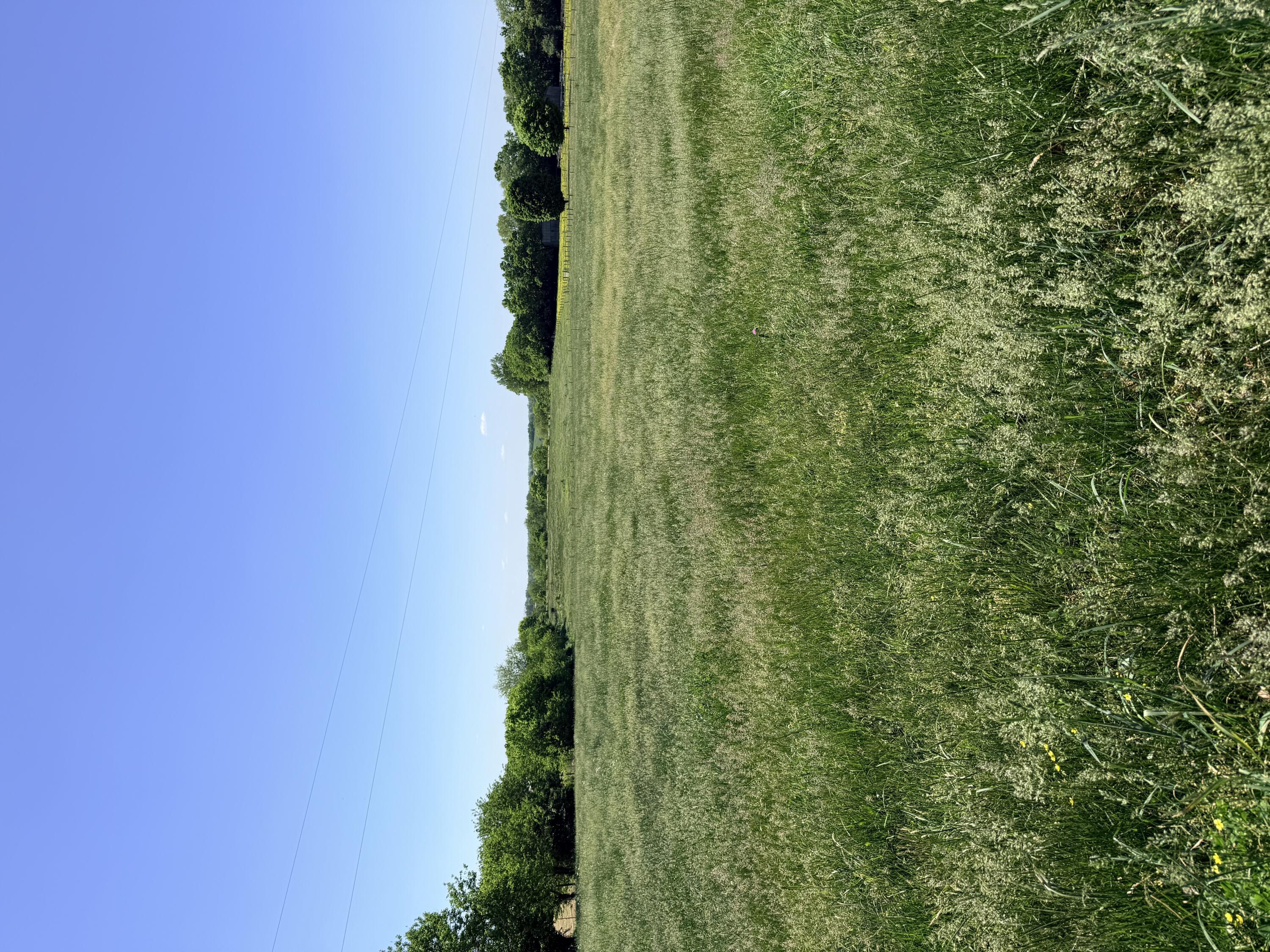 Image 3: IMG_4395