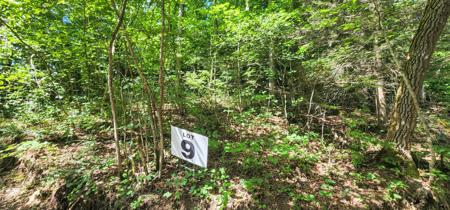 9 Spring branch subdivison