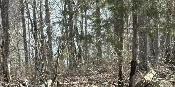 10 Wolf Gap Retreat