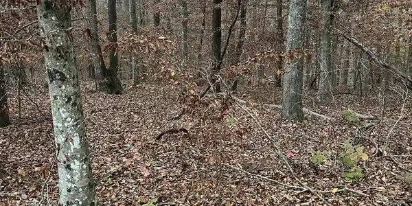 Lot 26 Peach Tree Ln