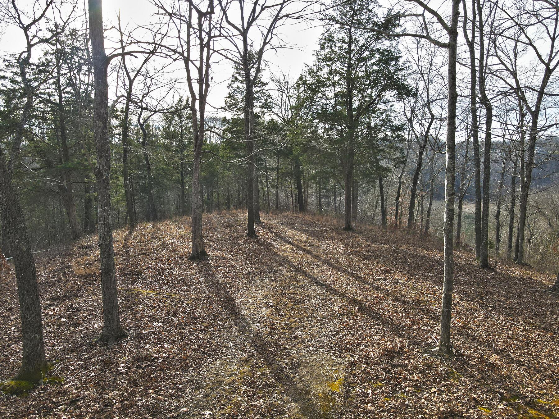 Image 1: Lakeridge_Est.066