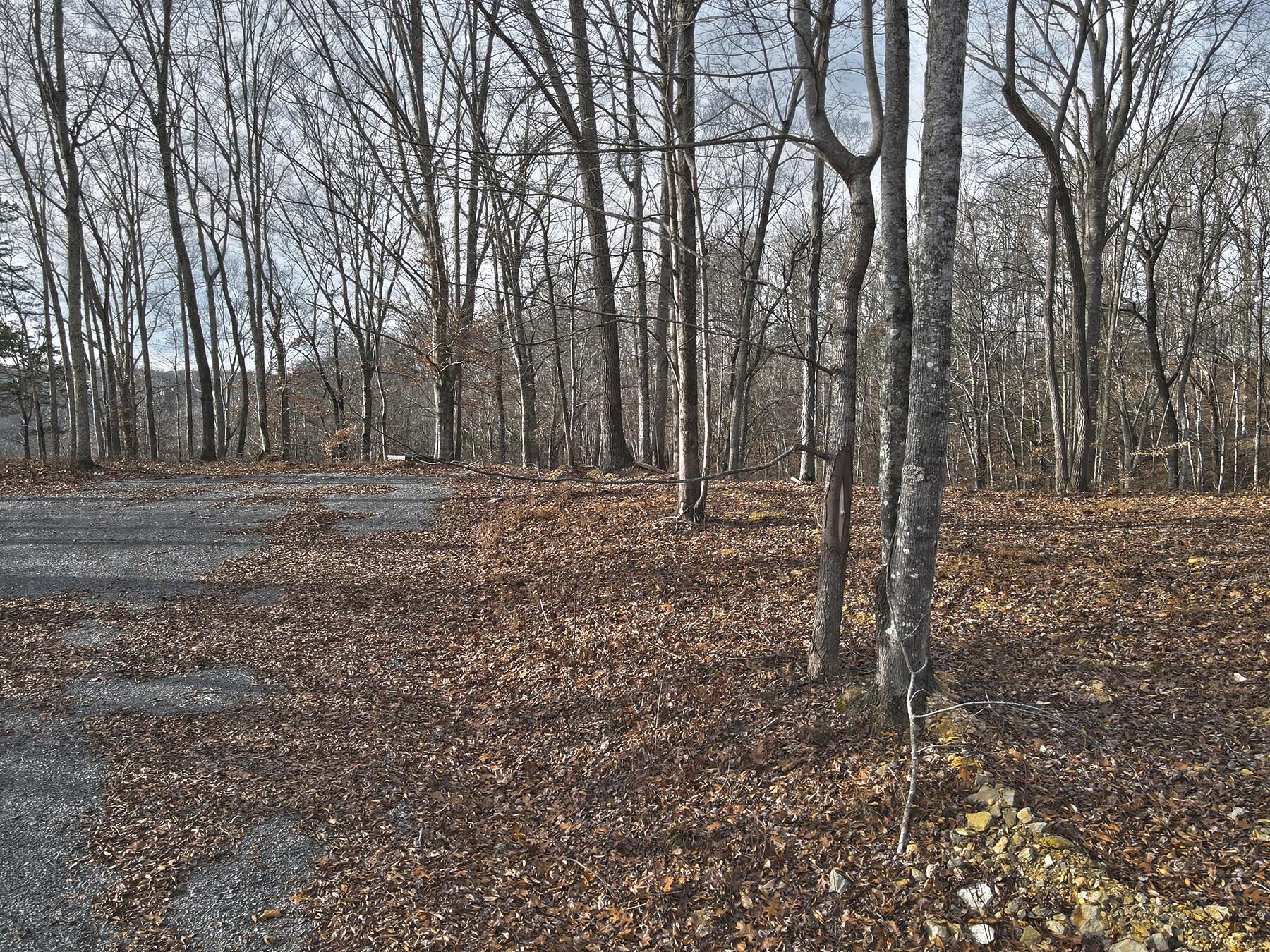 Image 2: Lakeridge_Est.062