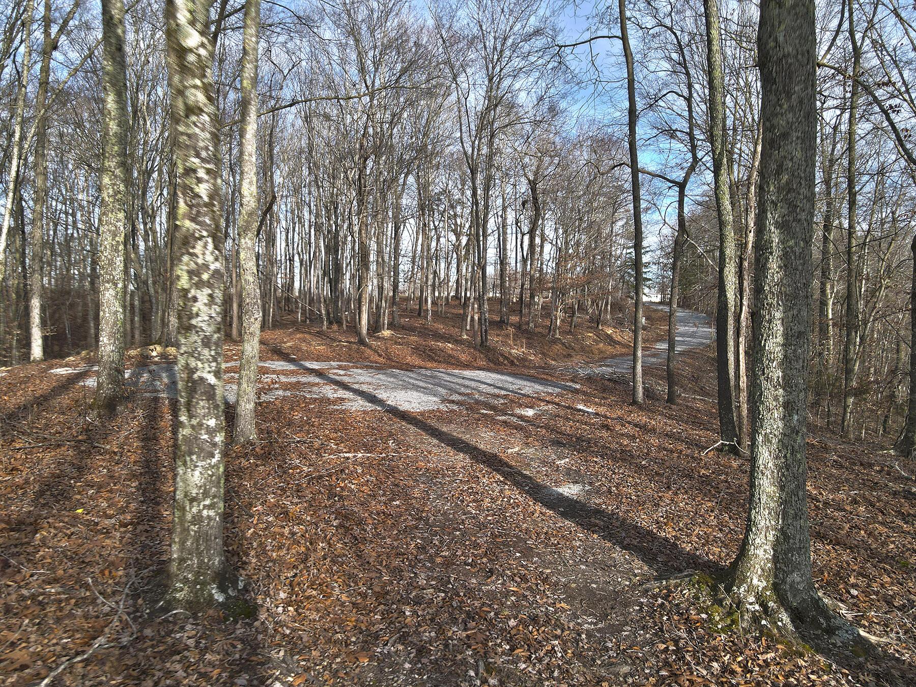 Image 3: Lakeridge_Est.069