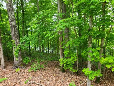 Lot #34 Lakeview Drive