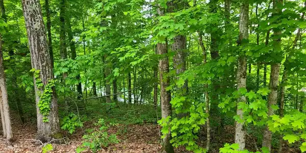 Lot #34 Lakeview Drive