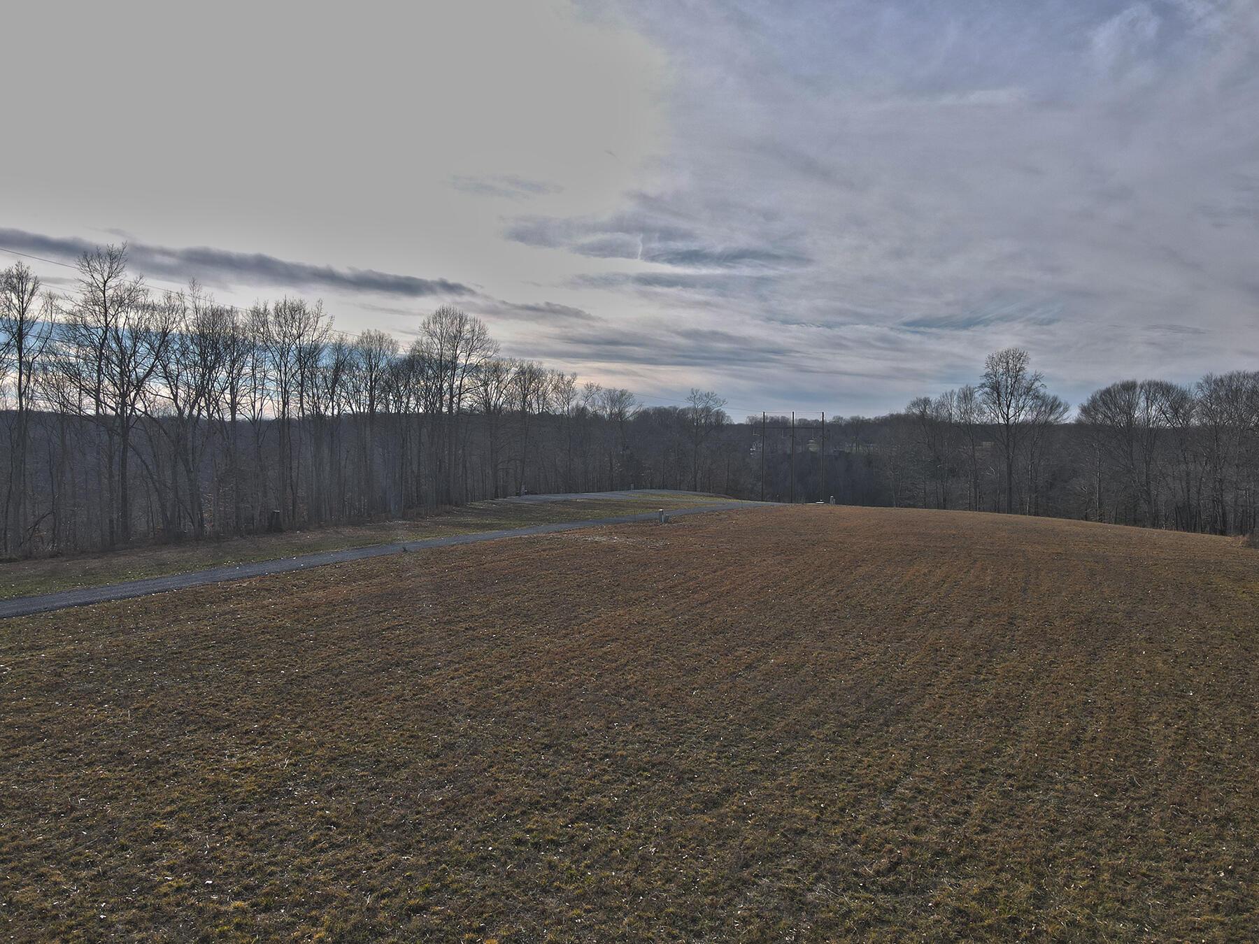Image 2: Lakeridge_Est.005
