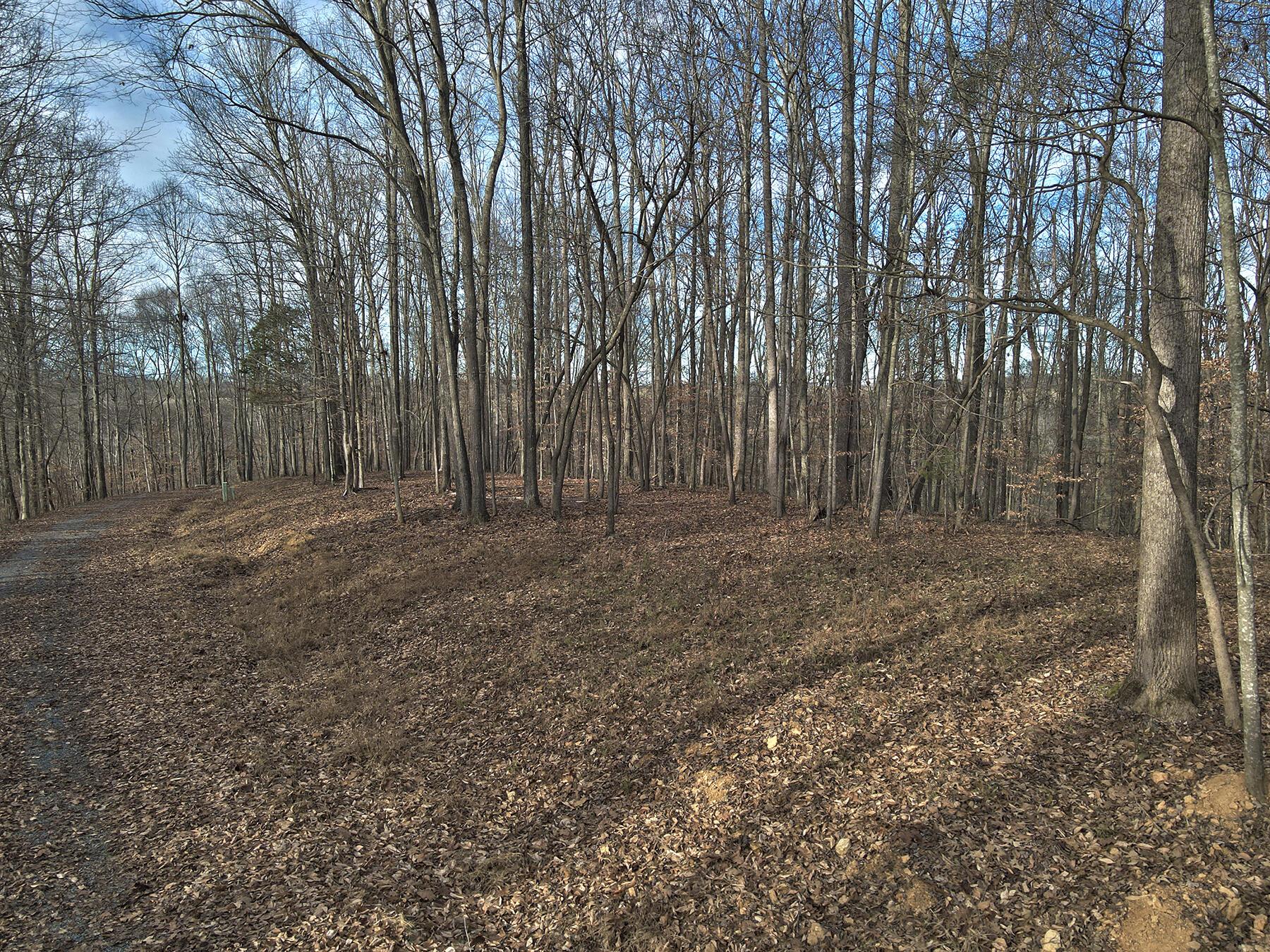 Image 2: Lakeridge_Est.035