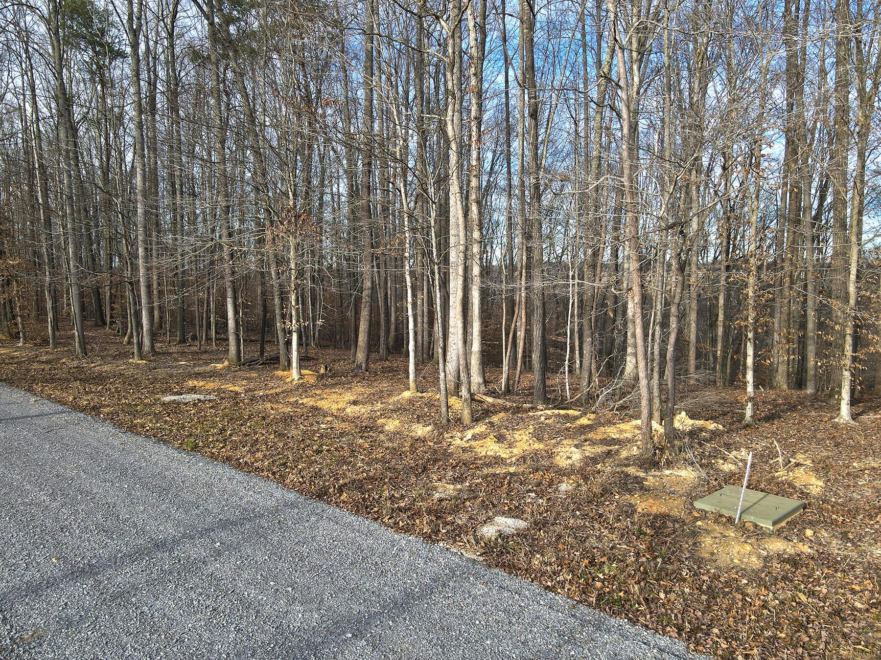 Image 3: Lakeridge_Est.032