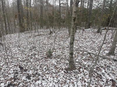 Lot 68 Sandstone Point