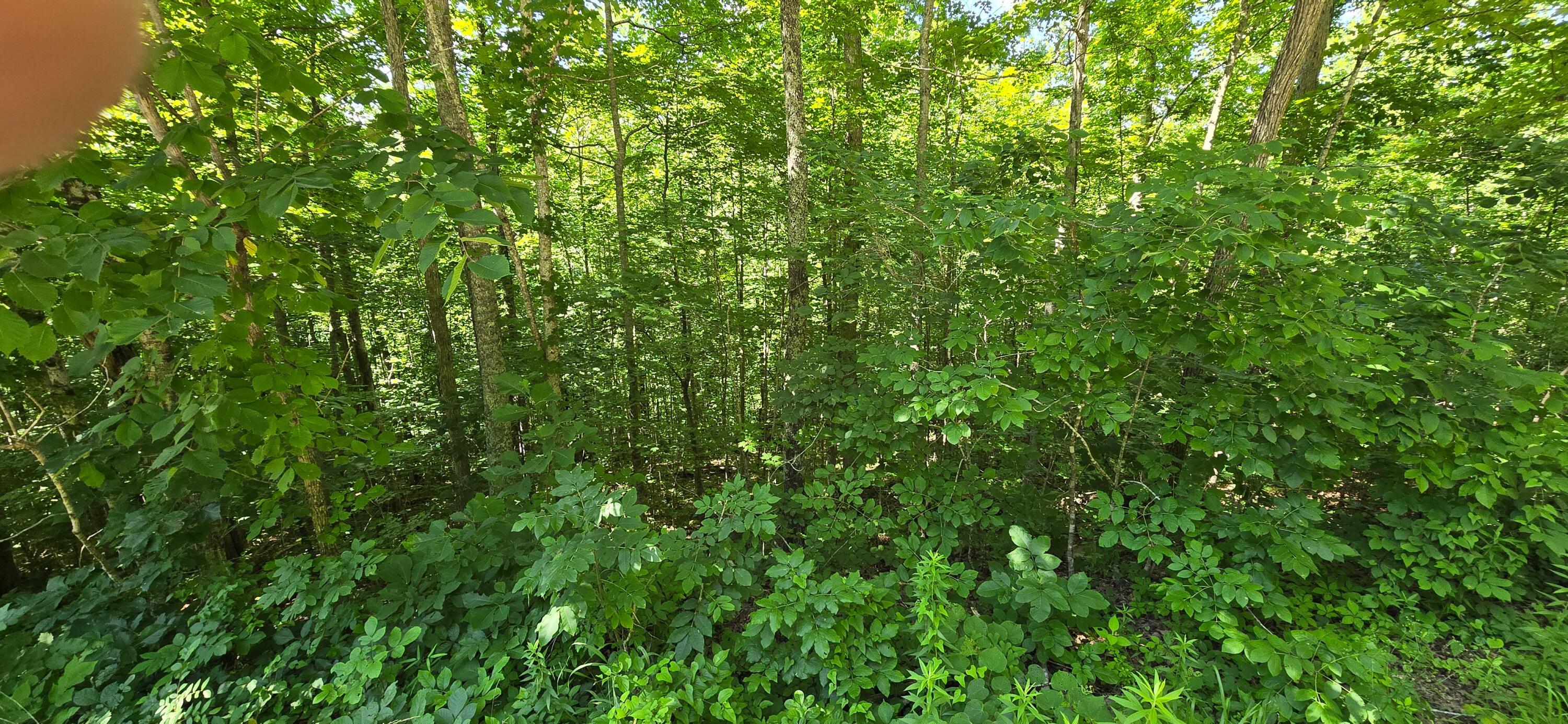 Image 2: Photo2