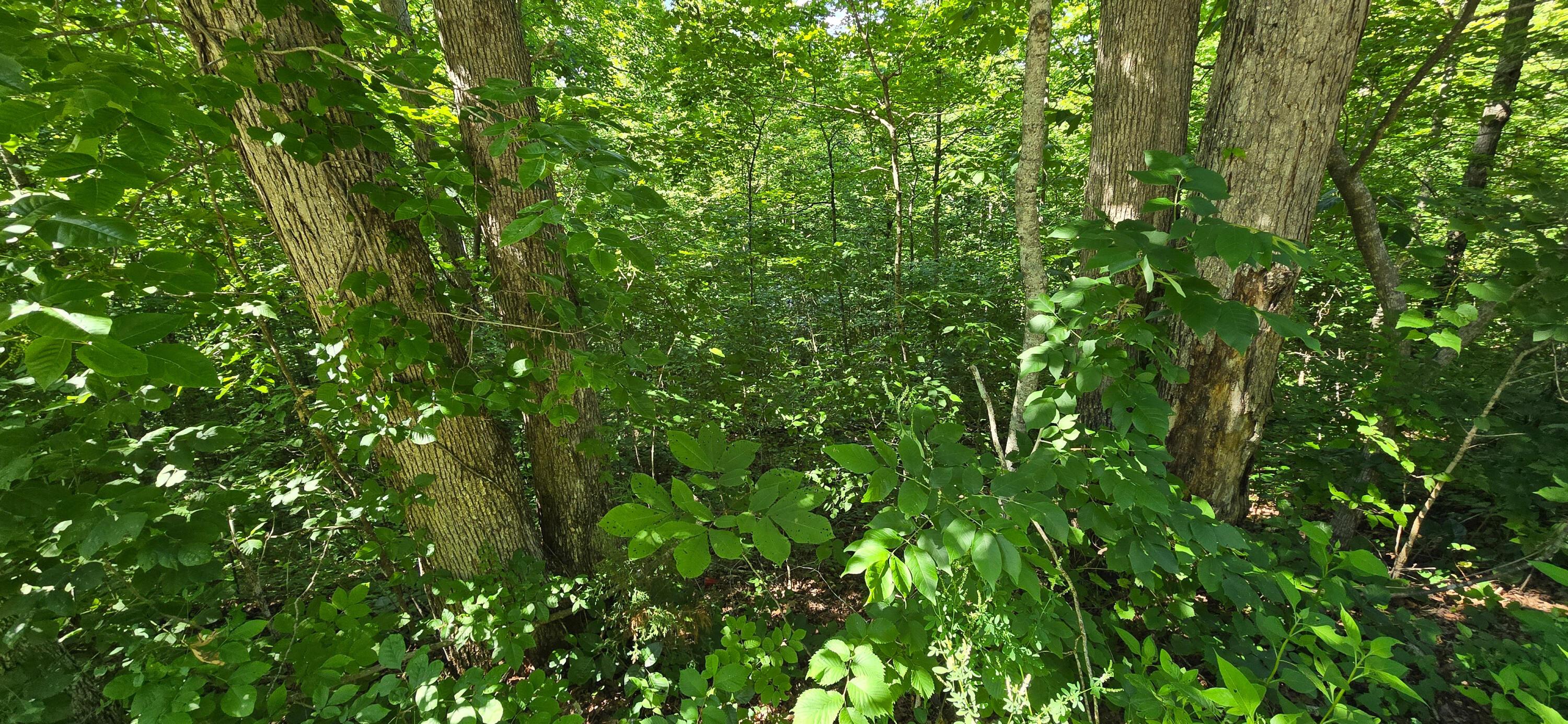 Image 3: photo3