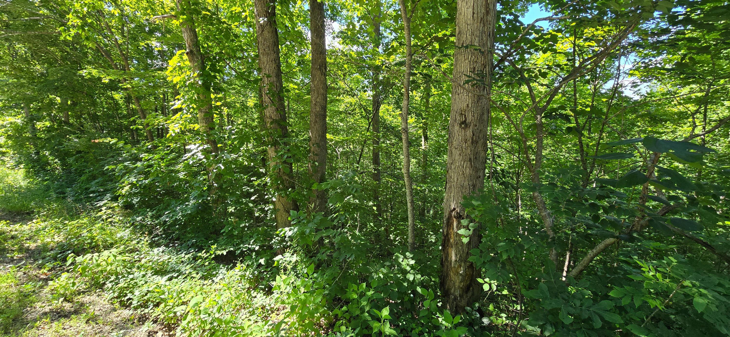 Image 4: photo4