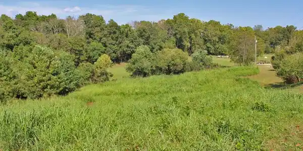 248 Joe Lewis Road