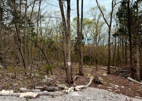 33 Red Bud Drive