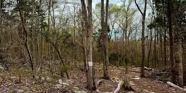 33 Red Bud Drive
