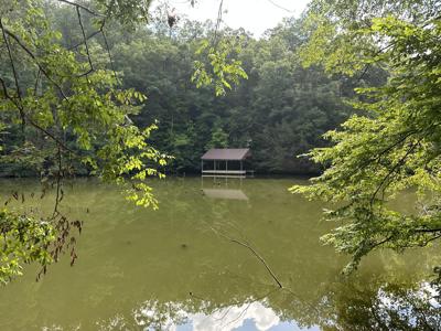Lot 1 Wood View Drive