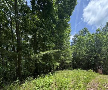 Lot #67 Sunrise Cove Trail