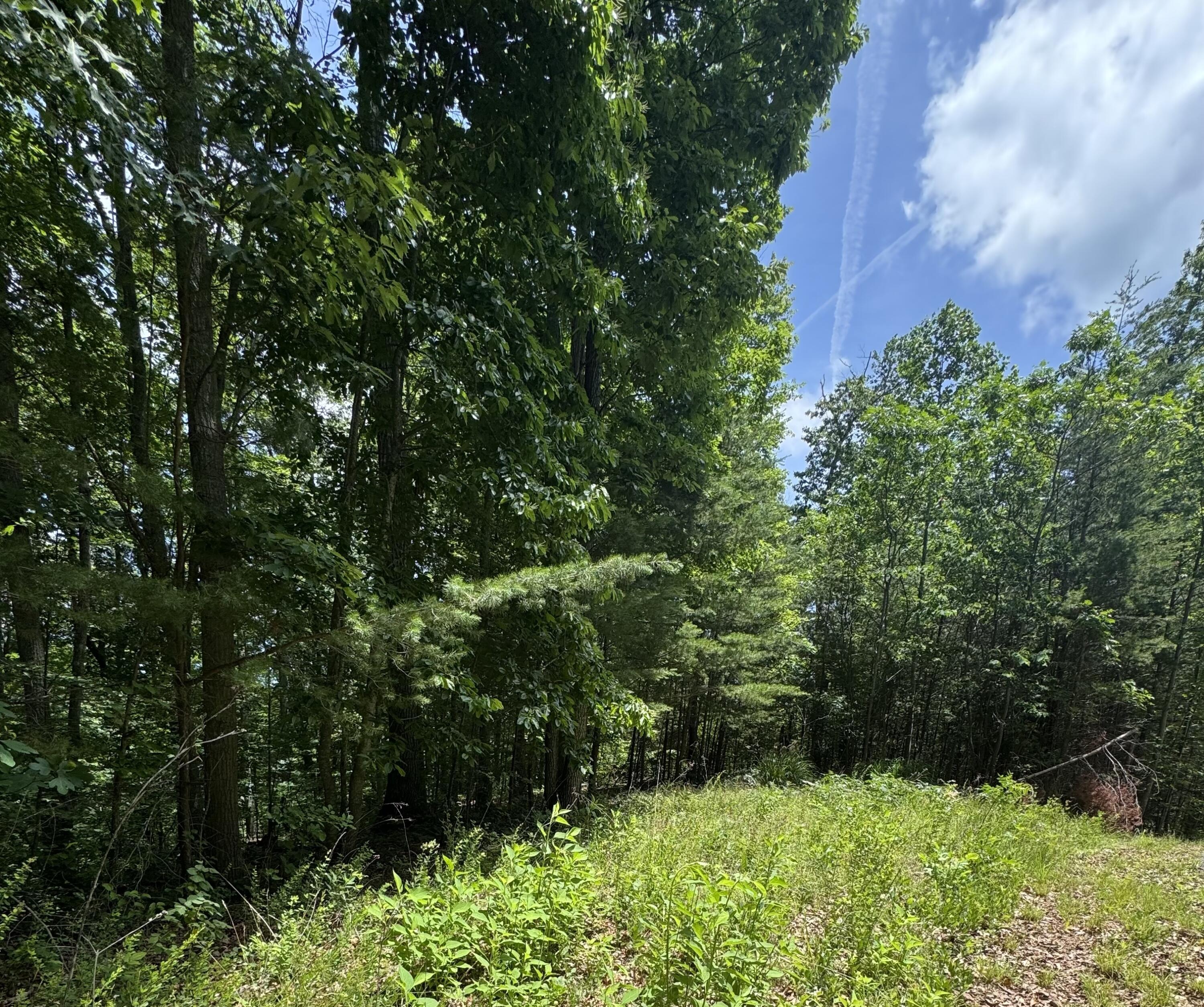 Image 1: Lot #67 Sandstone Point