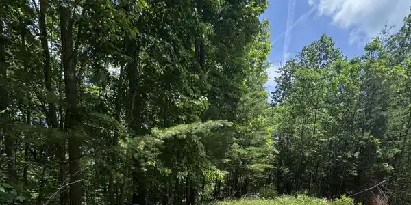 Lot #67 Sunrise Cove Trail