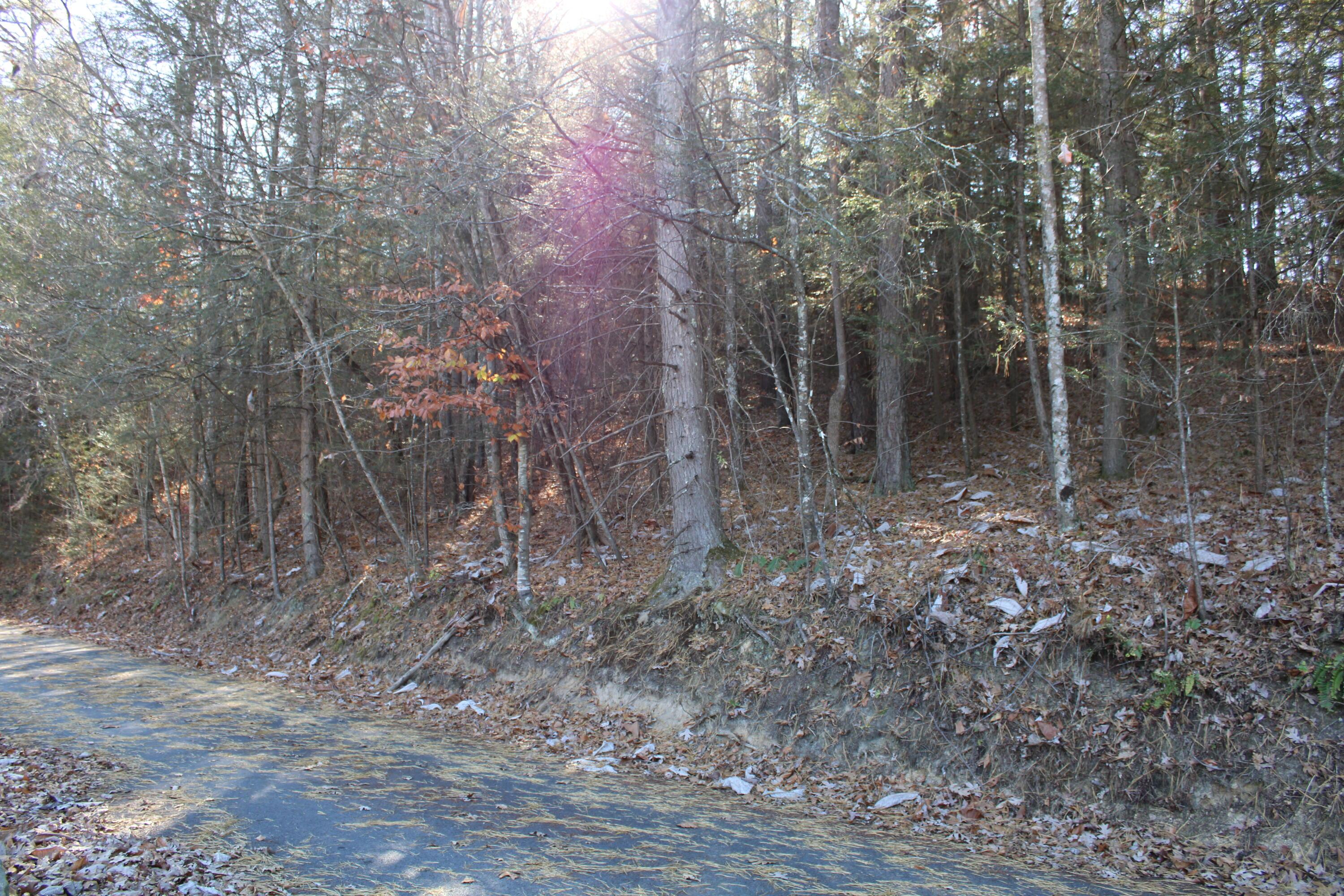 Image 2: 07