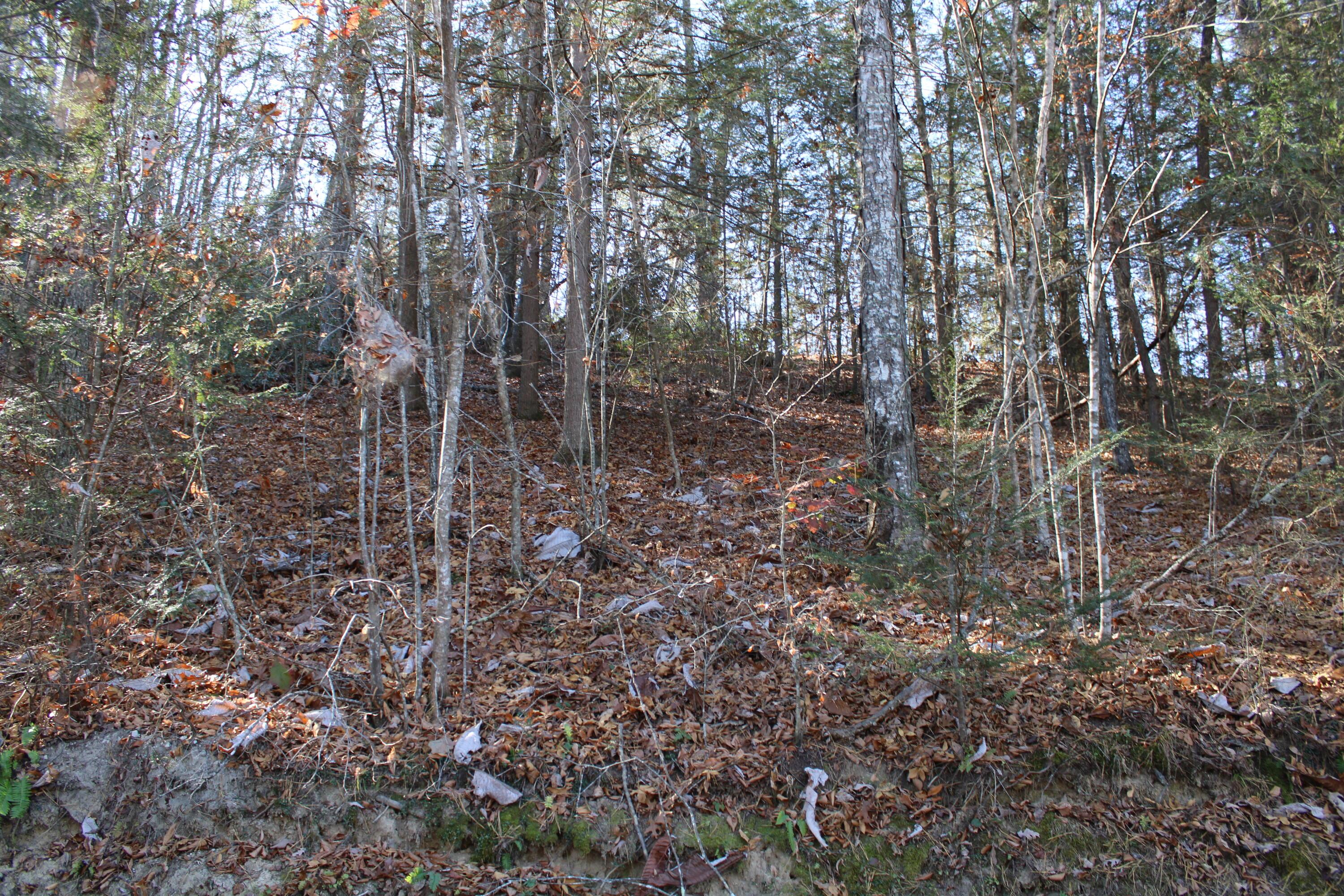 Image 3: 01