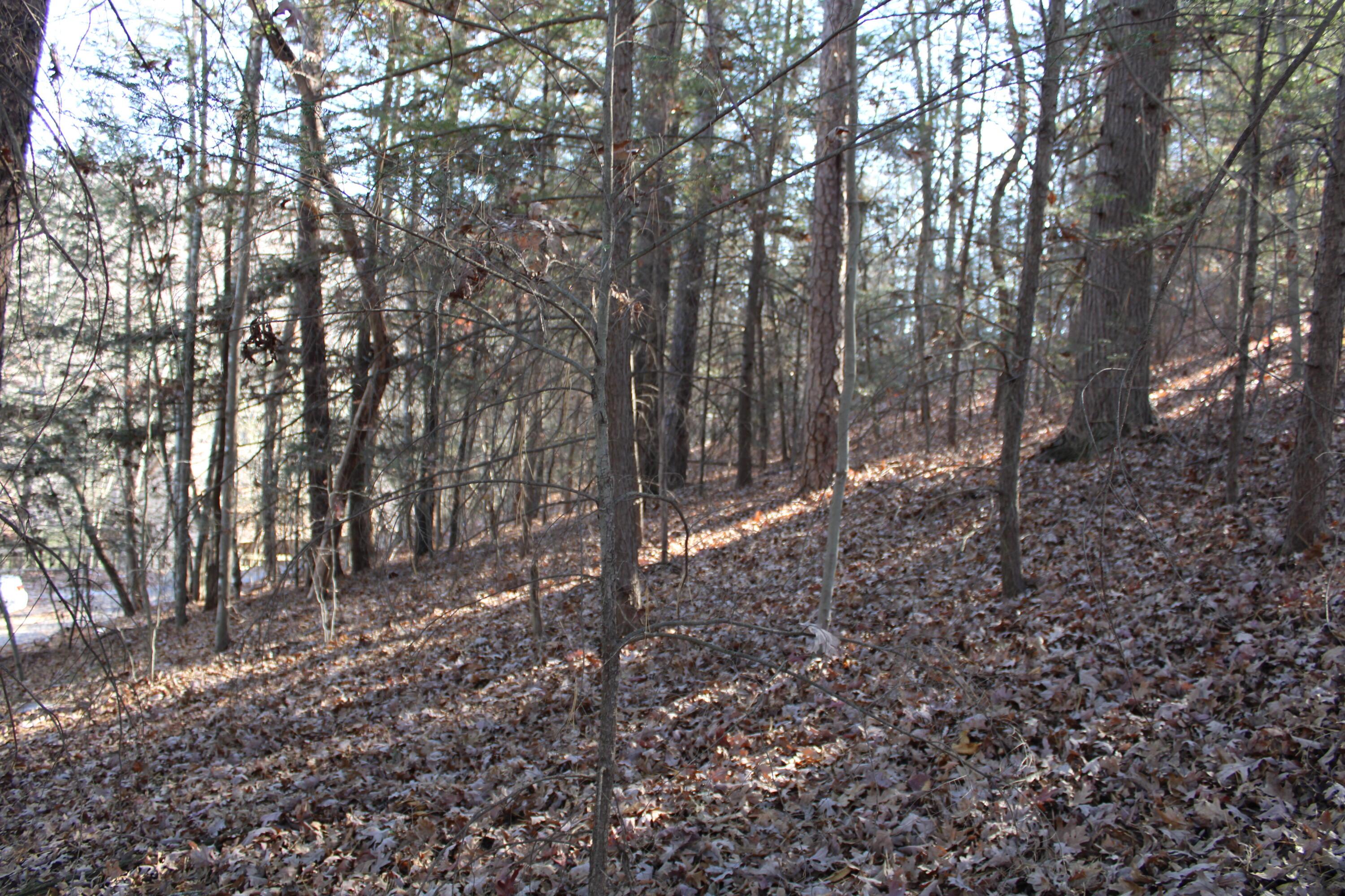Image 4: 02