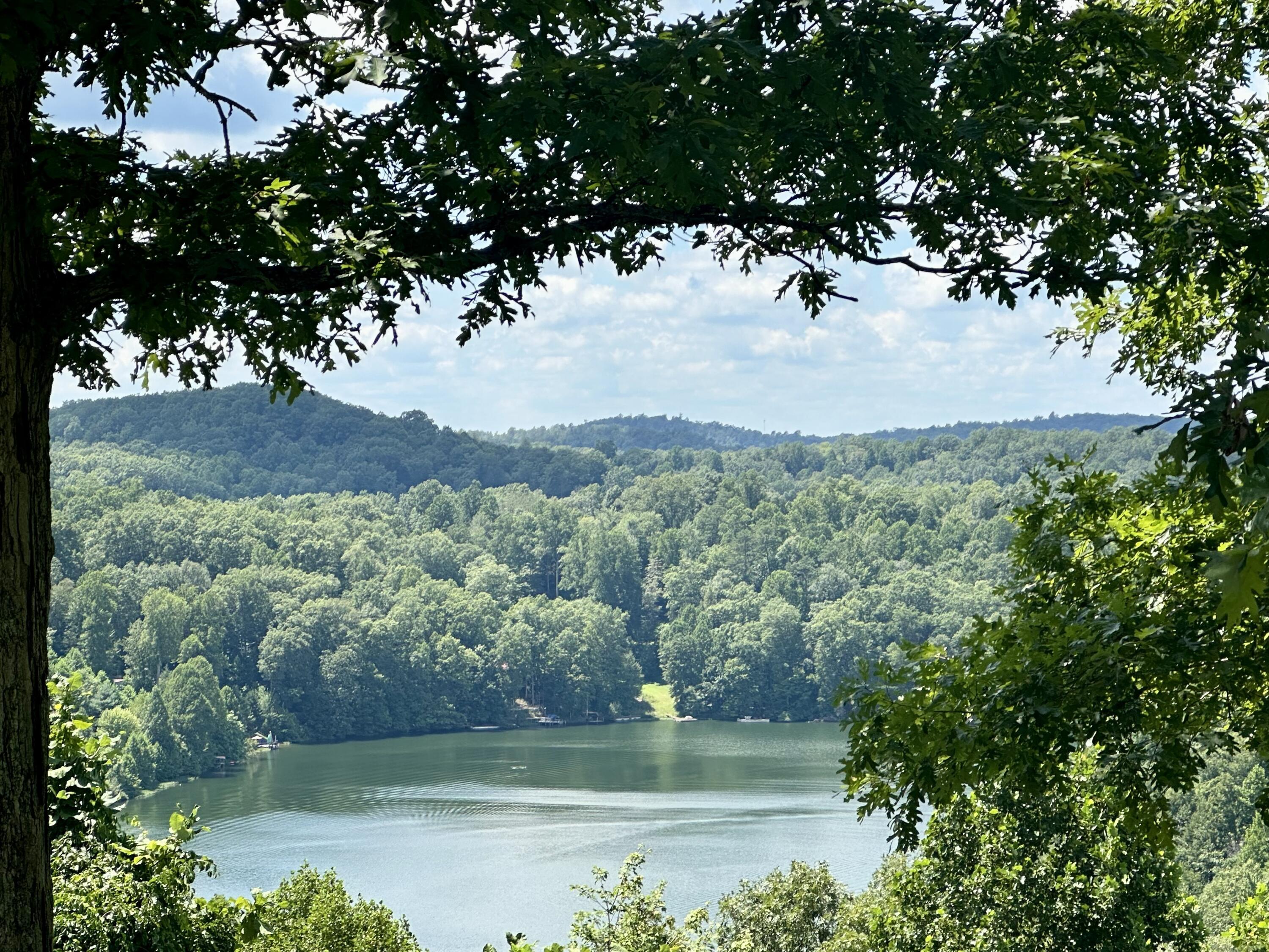 Image 2: NEAR LAKE