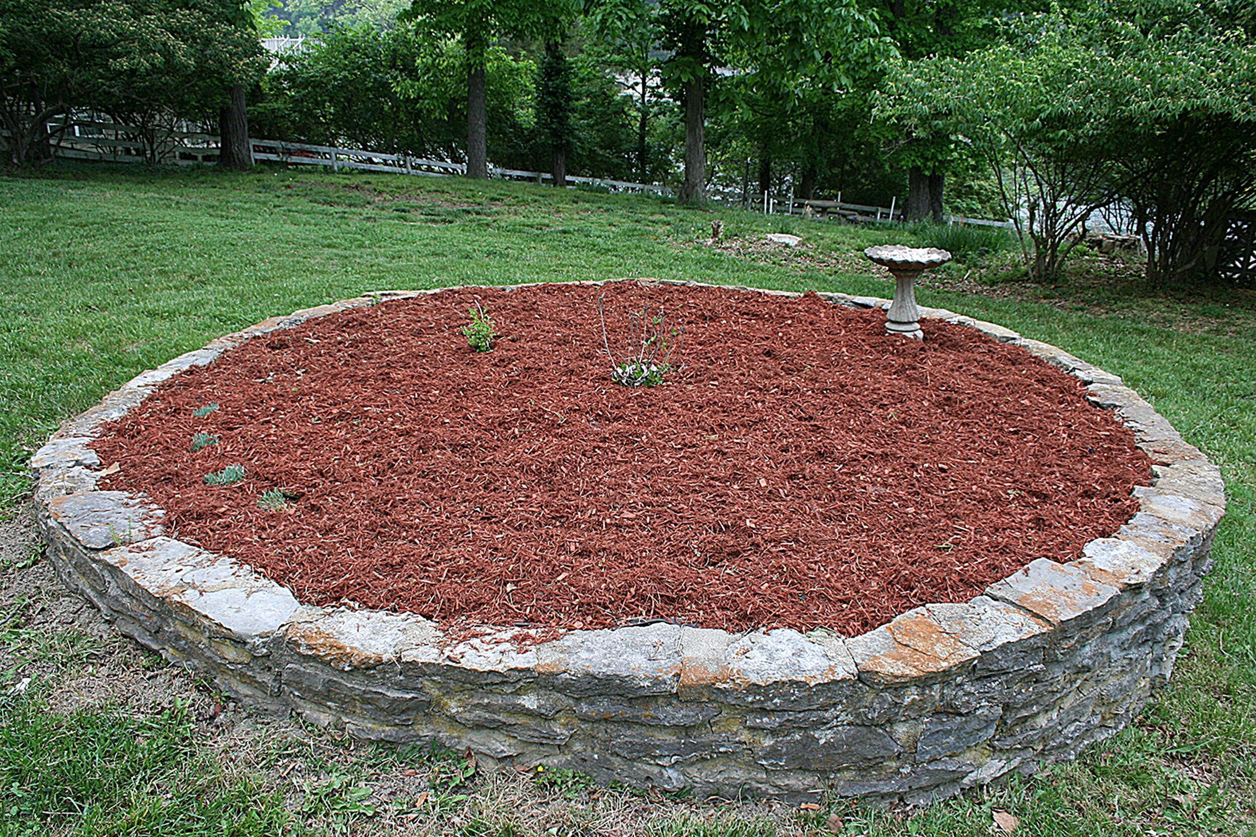 Image 3: IMG_0490