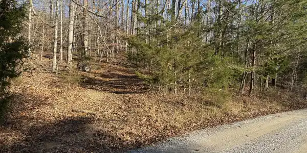 Lot 35 & Lot 36 Paradise Lake Drive