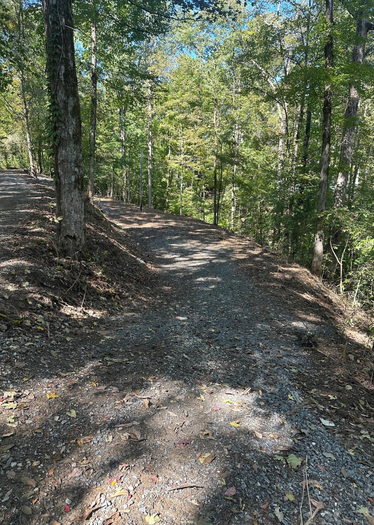 Image 3: East Side Lot