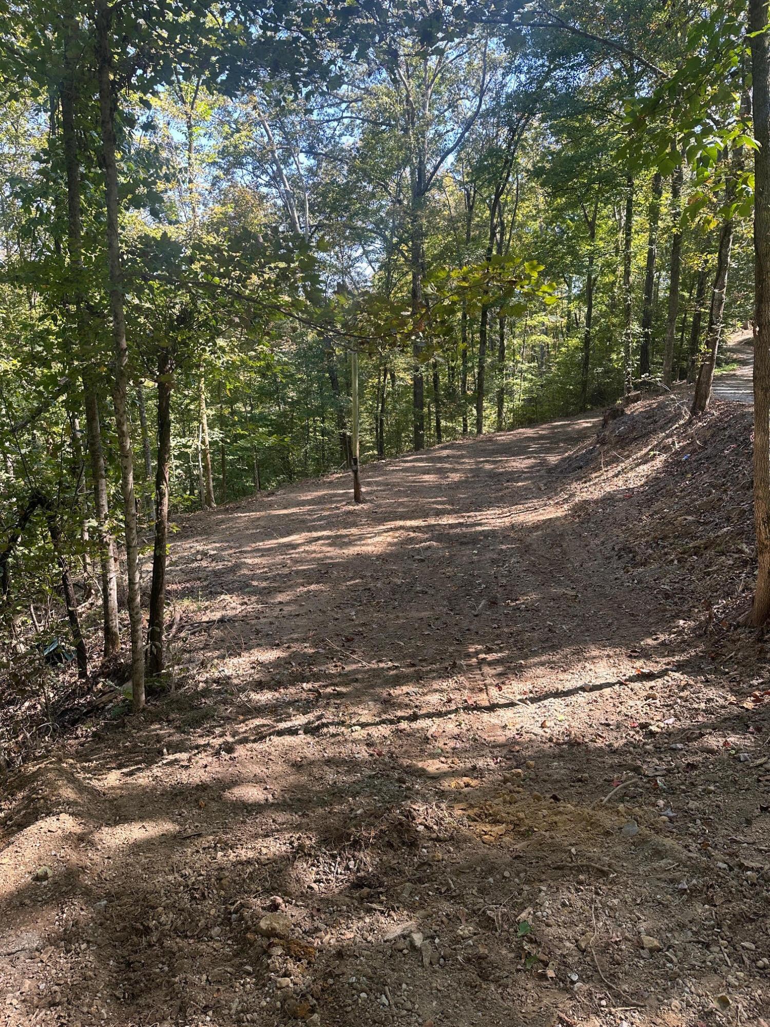 Image 4: East Side Lot