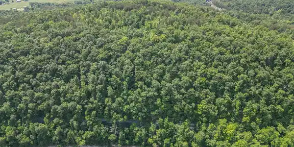Image 2: DJI_0294