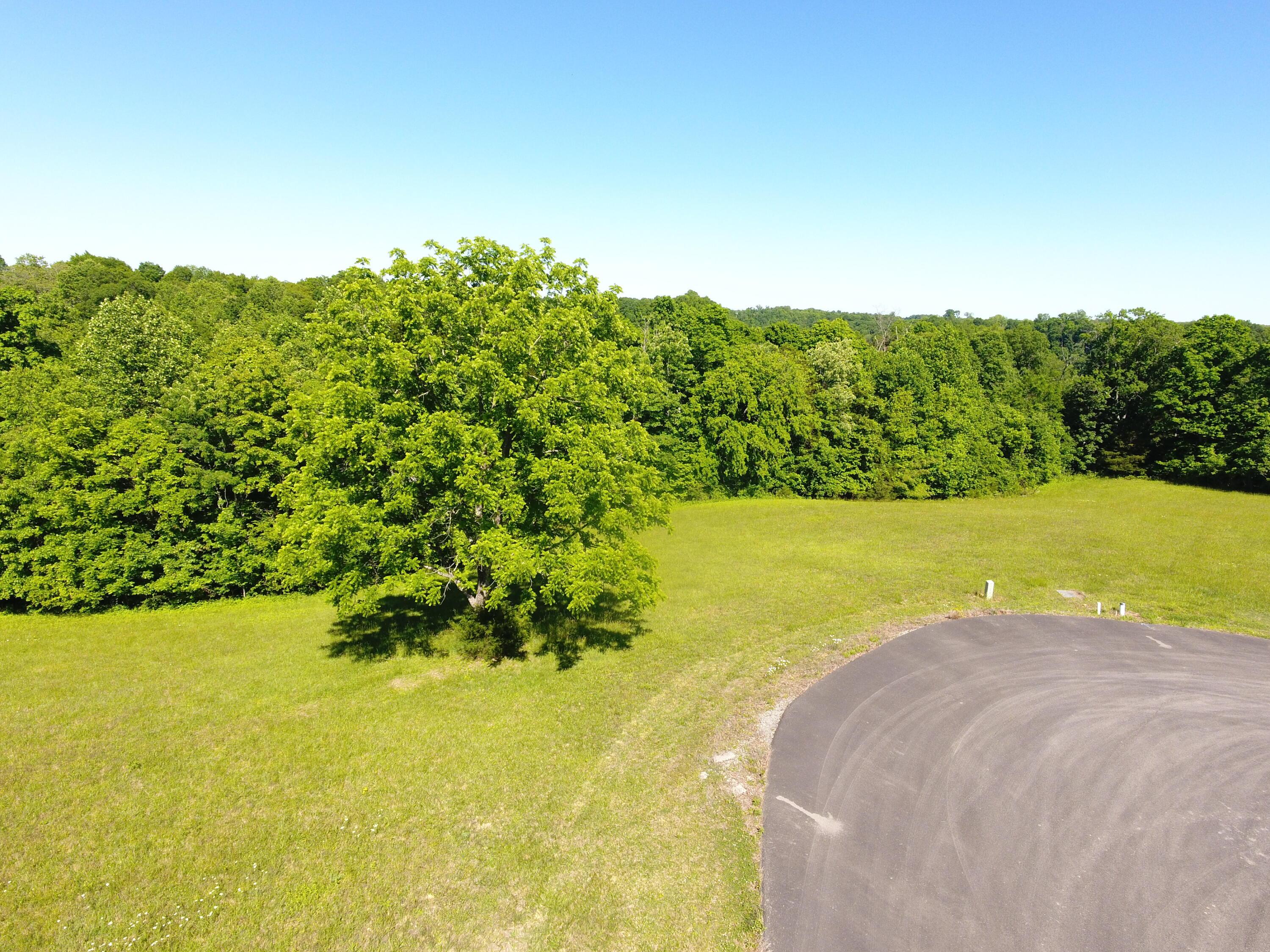 Image 1: spring1