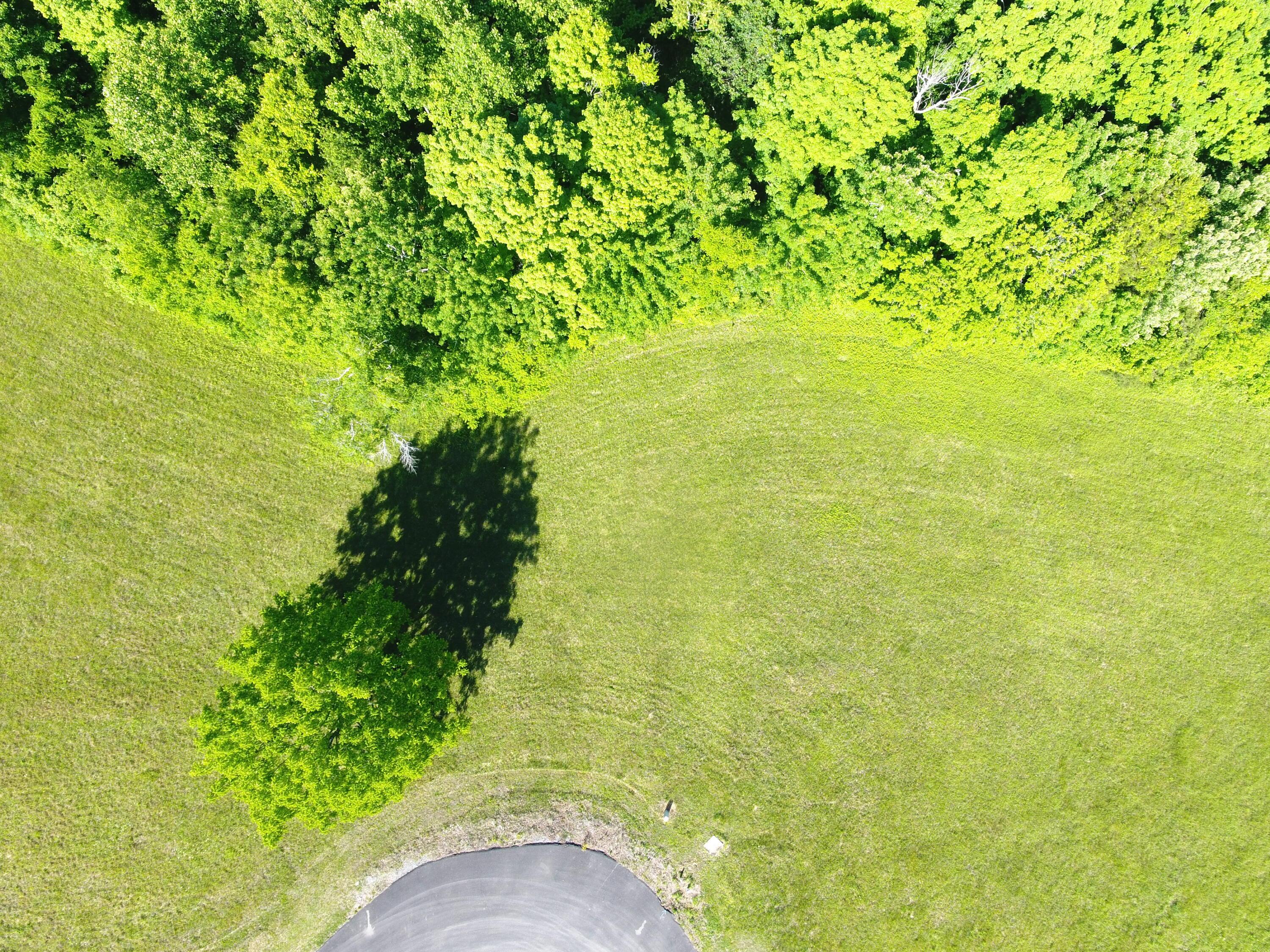 Image 4: spring4