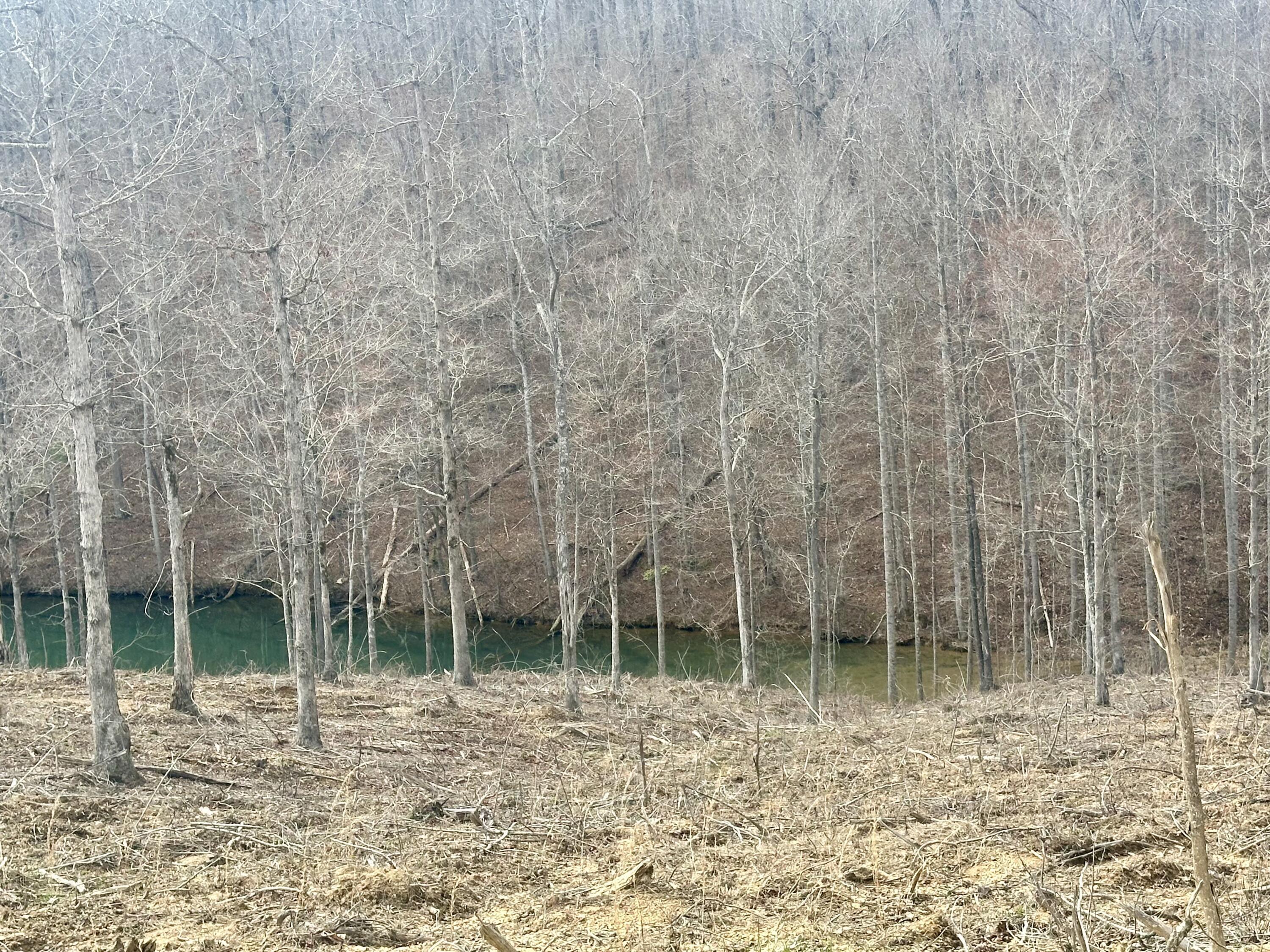 Image 4: IMG_7477