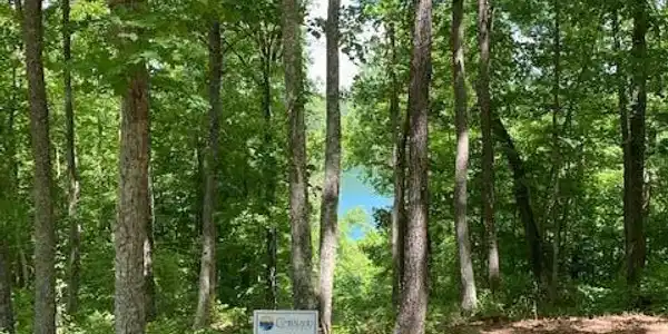 Lot 20 North Shore Rd