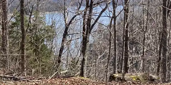 Lot 41 Cumberland Shores