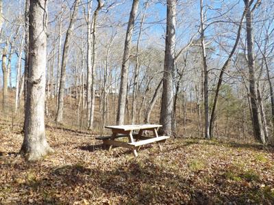 Lots Beaver Lodge Subdivision