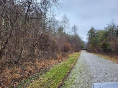 565 Bucktail Drive