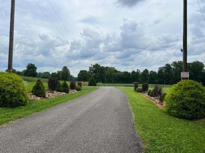 Lot 35 Cherry Loop