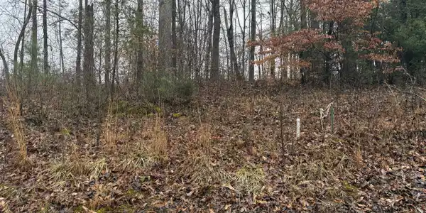 40a Forest Way Circle