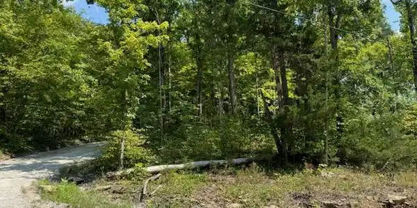 Lots 1-2-3-4 Dixie Bend Road