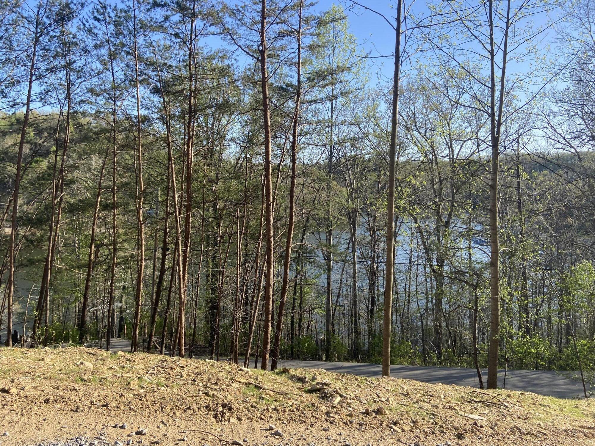 Image 1: WOOD CREEK LAKE VIEW LOT