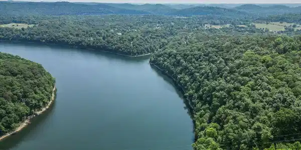 Image 2: DJI_0287