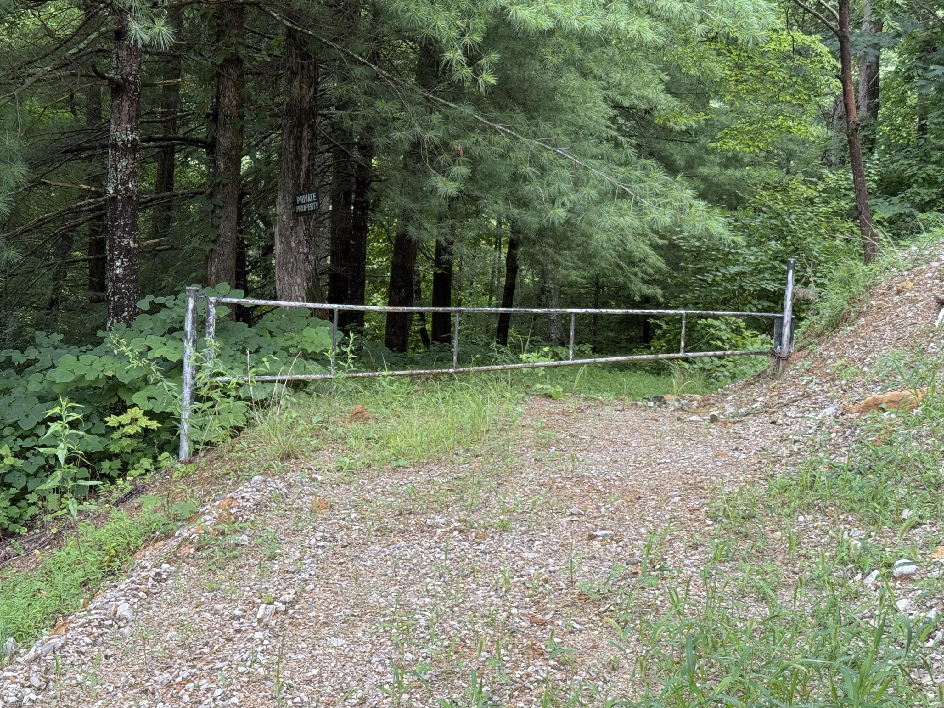 Image 3: IMG_1748