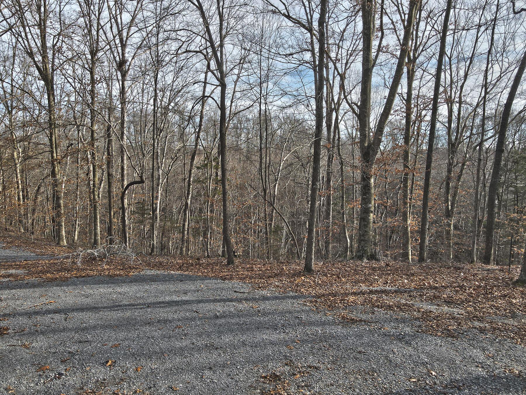 Image 3: Lakeridge_Est.065
