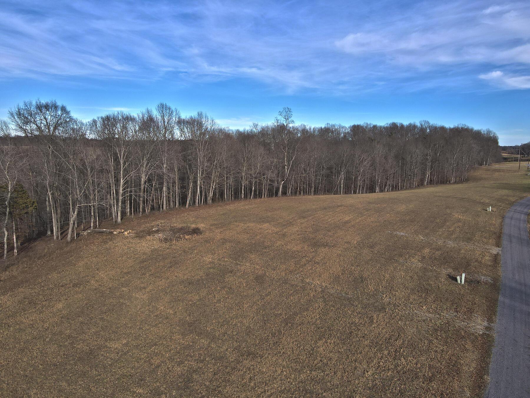 Image 2: Lakeridge_Est.019