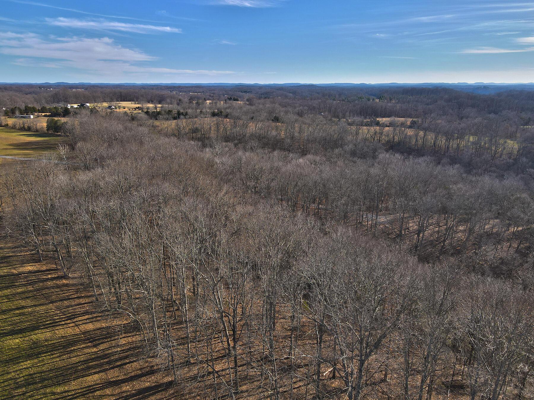 Image 4: Lakeridge_Est.098