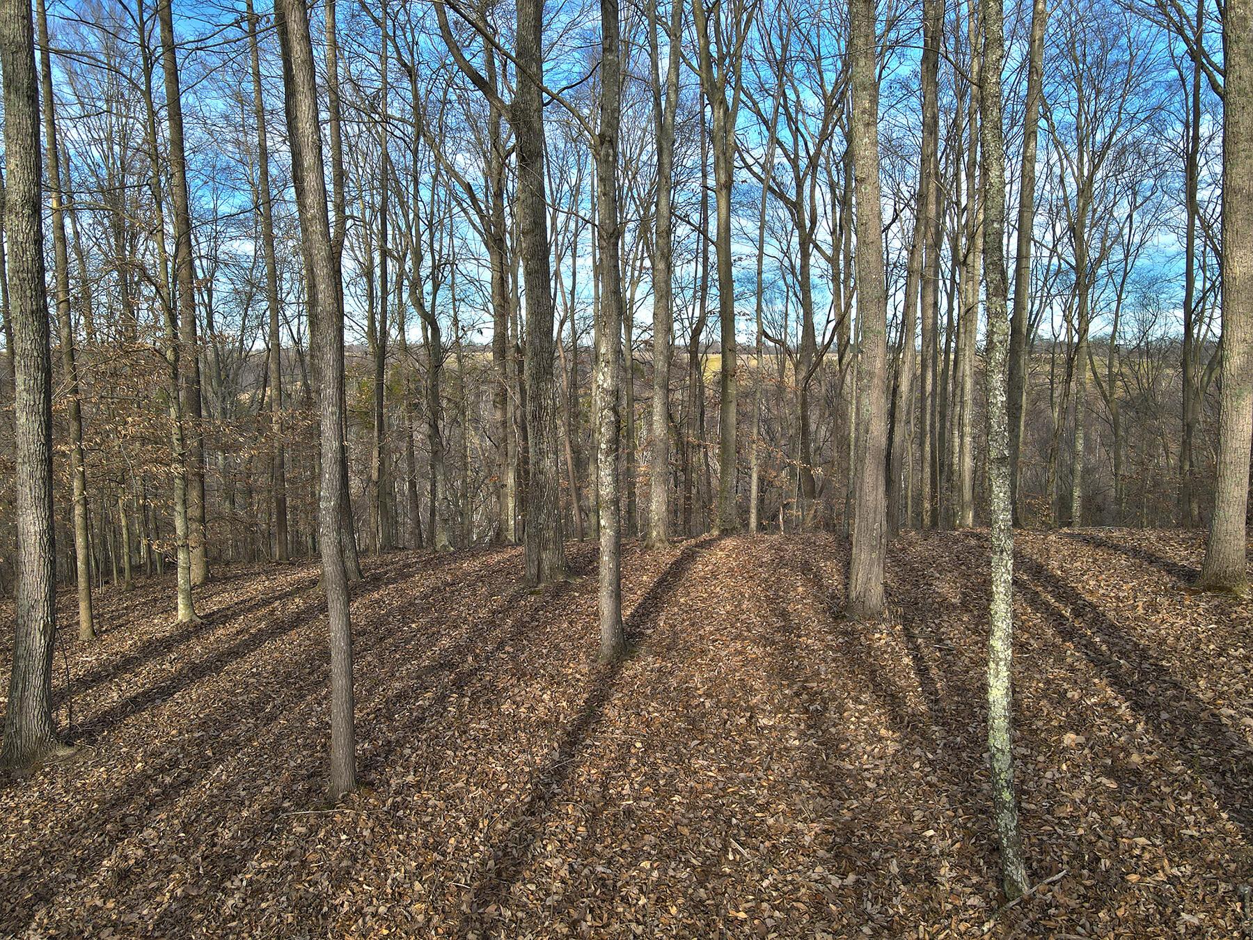 Image 3: Lakeridge_Est.041
